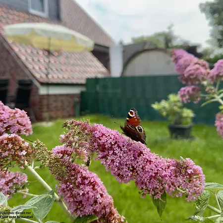 Hébergement de vacances Haus Kuestenliebe - Hooksiel