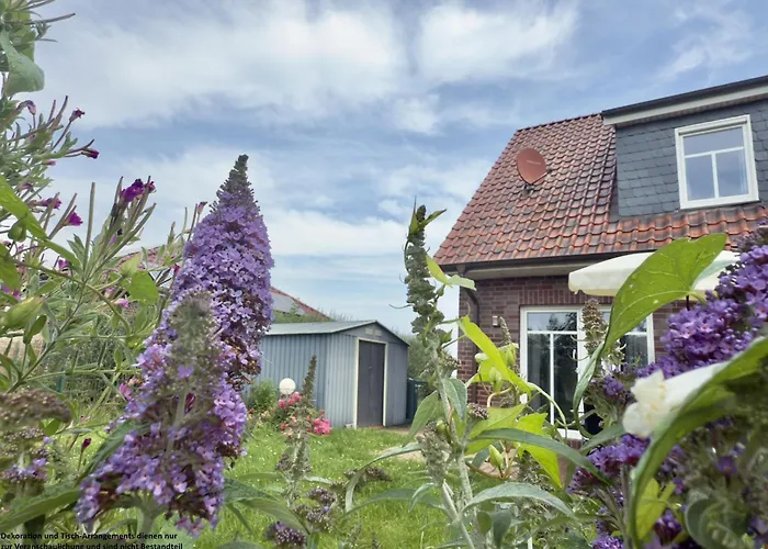 Haus Küstenliebe - Hooksiel Ferienhaus