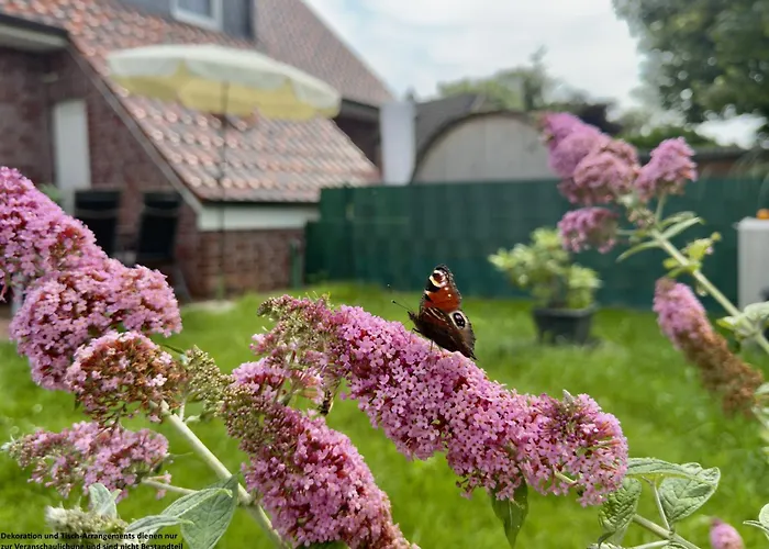 Ferienhaus Haus Küstenliebe - Hooksiel